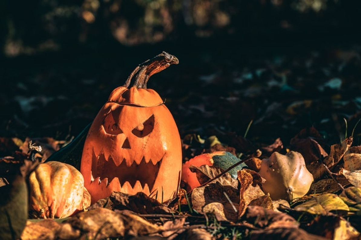 5 Safety Tips to Follow When Carving a Pumpkin