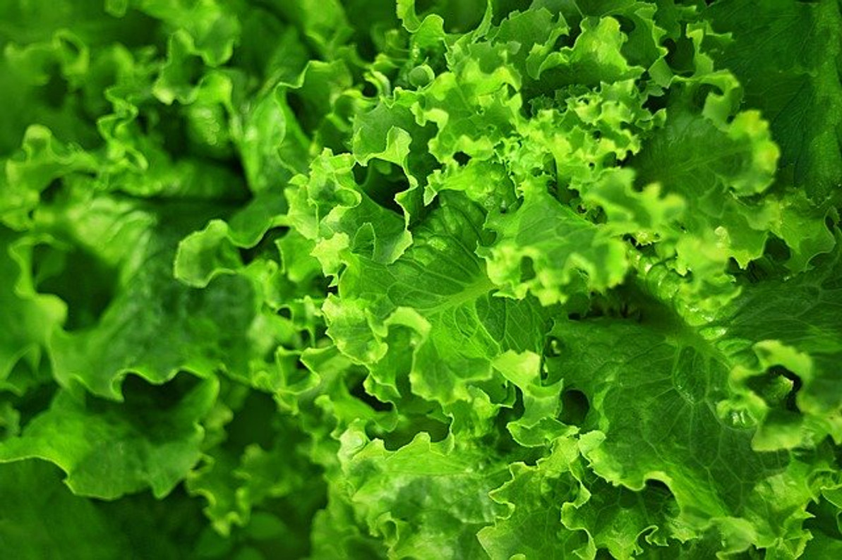 What Is Folate and What Health Benefits Does It Offer?