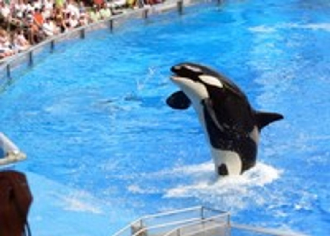 SeaWorld Backs Out of OSHA Appeal