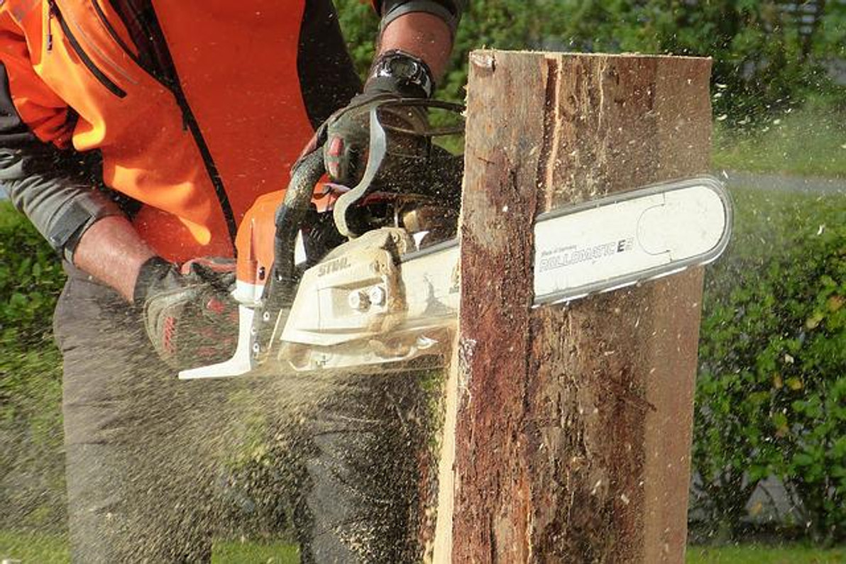 The Beginner's Guide to Chainsaw Maintenance