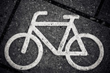 Research Shows Cycling Lanes Lower Risk of Vehicular-Related Fatalities