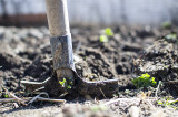 6 Safety Tips to Follow When Digging Holes With a Spade