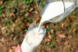 Study: Dairy Fat Linked to Lower Risk of Heart Disease