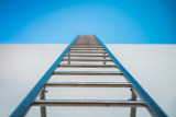 5 Things to Consider When Choosing a Ladder