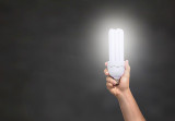 Which Type of Light Bulbs Should You Use in Your Workplace?