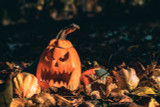5 Safety Tips to Follow When Carving a Pumpkin
