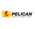 Pelican