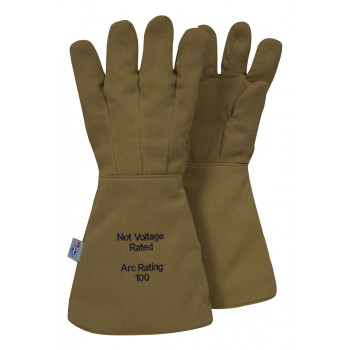 BUY NSA Enespro Arcguard 100 Cal Arc Rated Gloves, 18" Long now and SAVE!