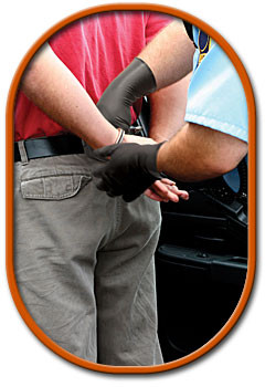 Showa DEX Nighthawk Defender Disposable Gloves - 50 Each Showa DEX Nighthawk Defender Disposable Gloves - 50 Each