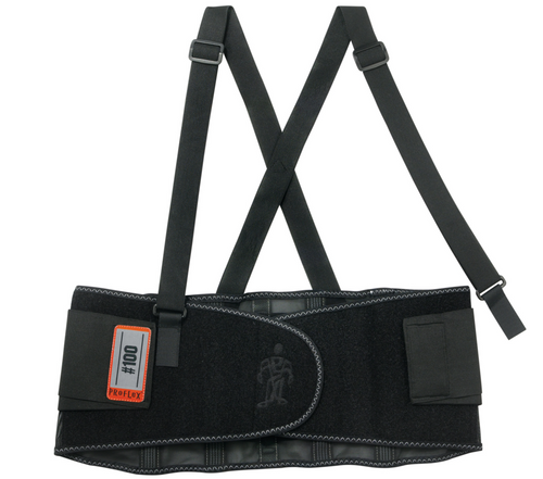 Ergodyne 100 ProFlex Economy Black Back Support. Available in different sizes. Shop now!