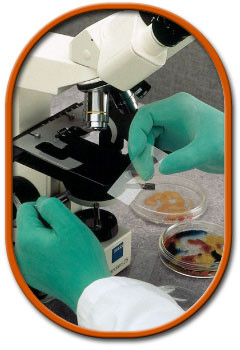 Showa Derma Thin Tactile Sensitive Gloves. Shop now!