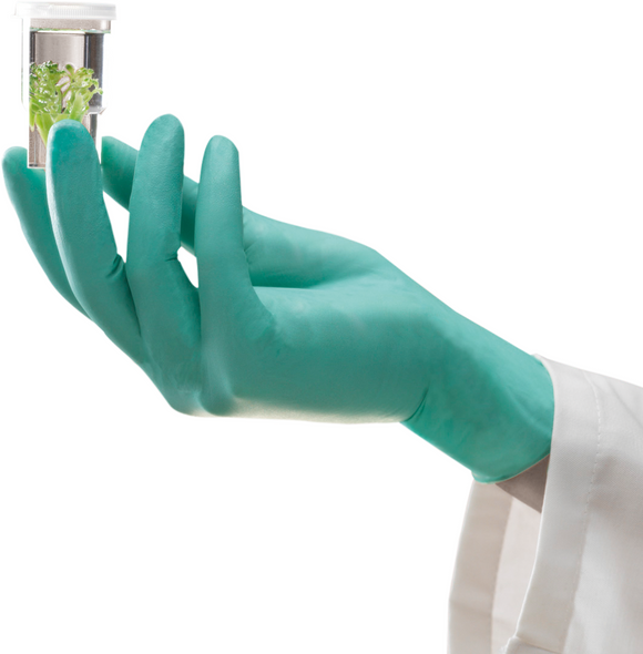 Ansell NeoTouch 25-101 Neoprene Gloves - 1000 per Case. Shop Now!