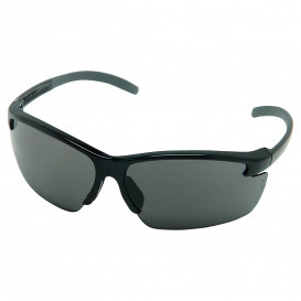 MSA Pyrenees Spectacles, Gray