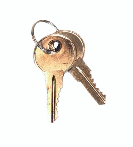 Eagle 25998 Replacement Keys For Safety Cabinet Paddle Handle, Set Of 2 For Lock No. CH545. Sold Now!