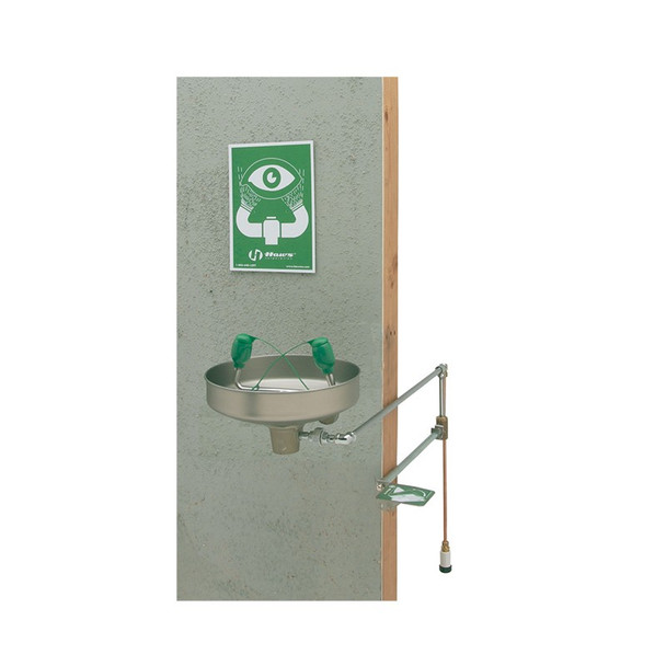 Haws 7433FP Freeze Resistant Wall Mounted Eyewash. Shop Now!