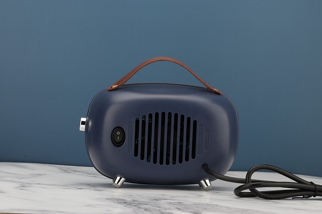The Dos and Don'ts of Using Space Heaters in the Workplace -  SafetyCompany.com