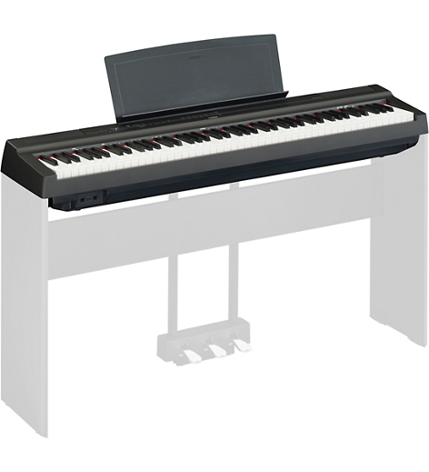 Yamaha P-125 88-Key Digital Piano Black - Standard Bundle - Paul Yamaha P-125 88-Key Digital Piano Black - Standard Bundle - Paul