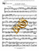 Flex for Two - Allegro Assai from Brandenburg Concerto No. 2 by J. S. Bach (arr. M. Adler) Educator Pak Printed Edition