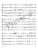 Lumina Cordis for Brass Quintet (Meeboer)