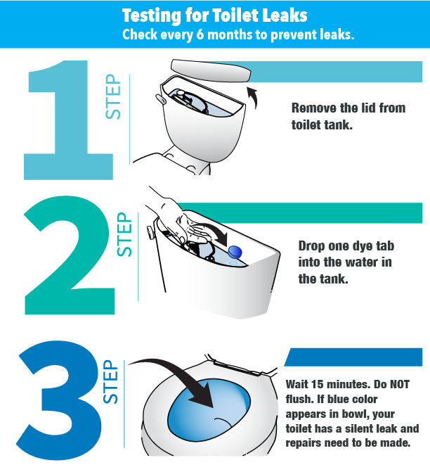 Toilet Cistern My Toilet Is Leaking Around The Bottom Toilet Water