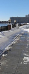 Enviro News: Winter Storm Jonas