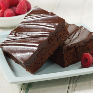 Double Fudge Chocolate Brownie Gift Tin Double Fudge Chocolate Brownie Gift Tin