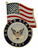 LAPEL PIN, USN + FLAG