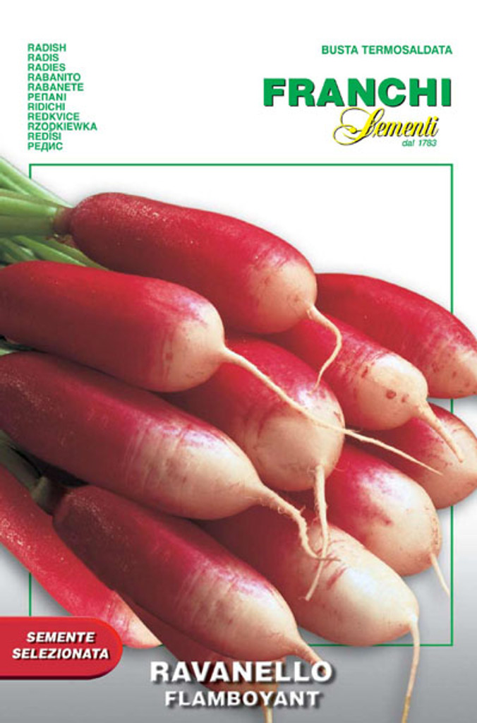 Radish Flamboyant 3 (112-25)