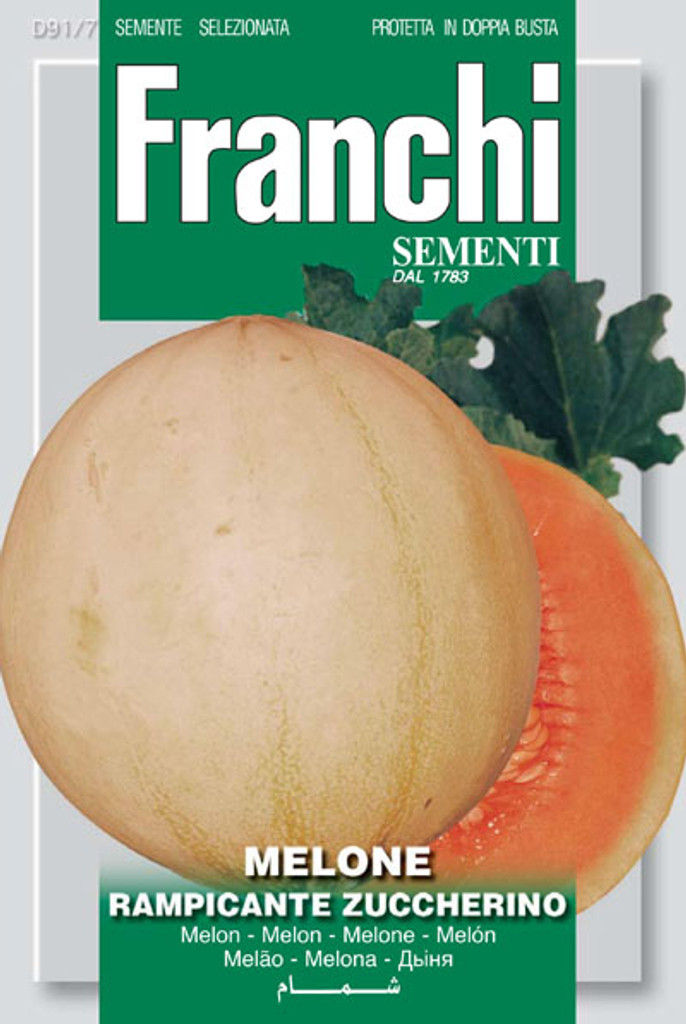 Melon Rampicante Zuccherino (91-7)