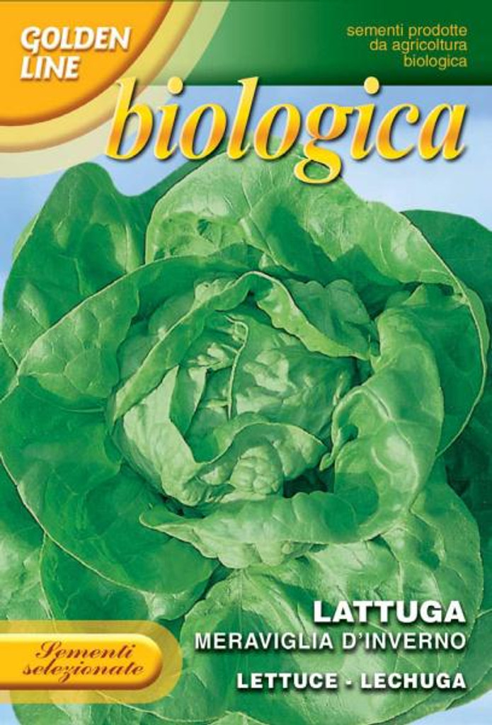 Lettuce Meraviglia d'Inverno - Winter Marvel  Organic (79-2B)
