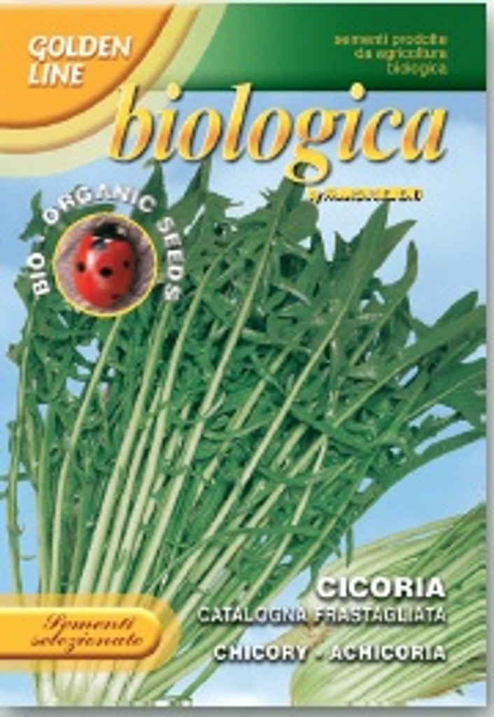 Chicory Catalogna Frastagliata Organic (40-81B)