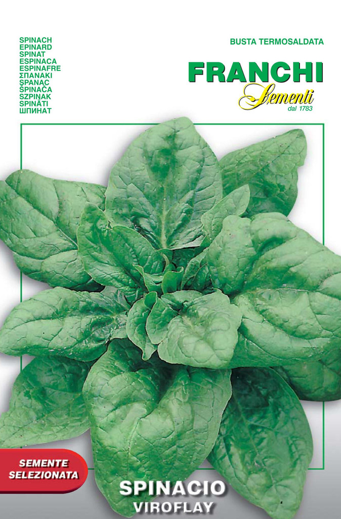 Spinach Viroflay (127-3)