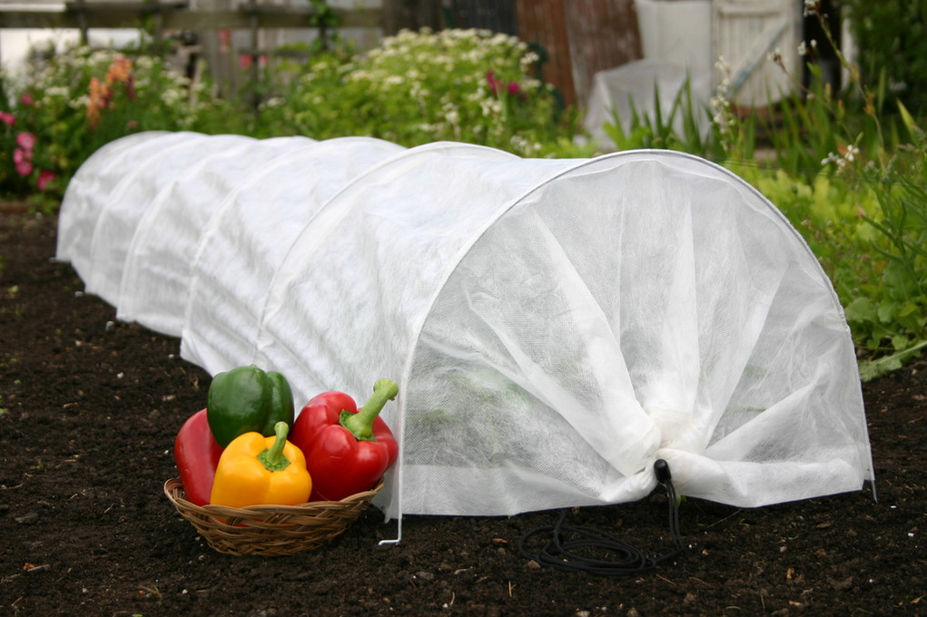 Tips for Fall Gardening Success