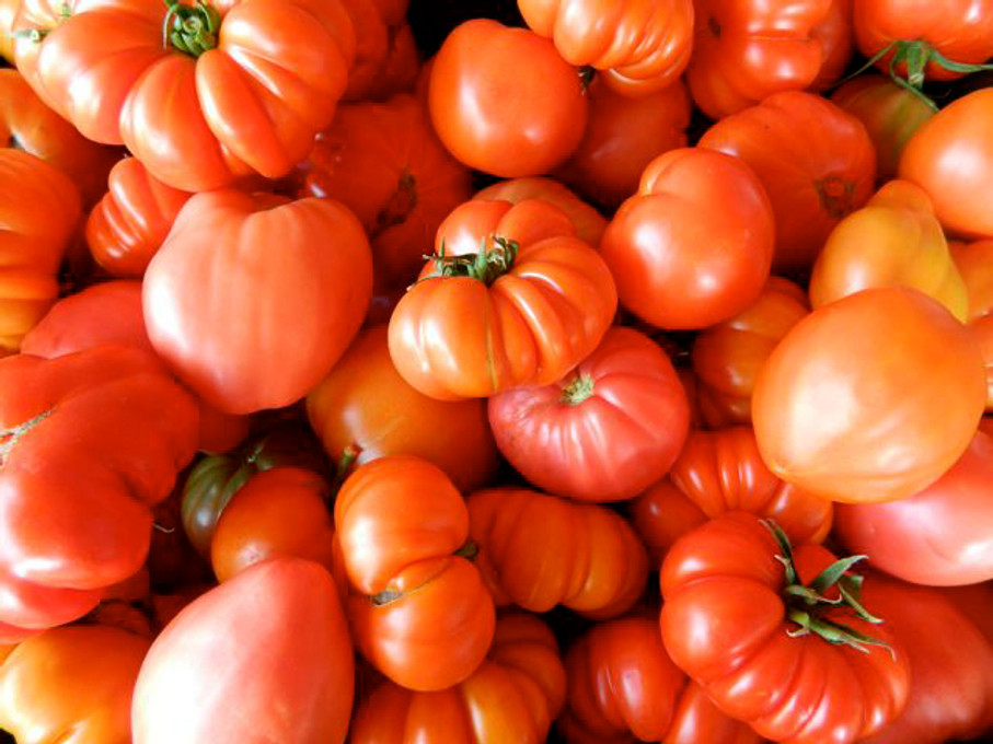 Import restrictions on tomato, pepper seed