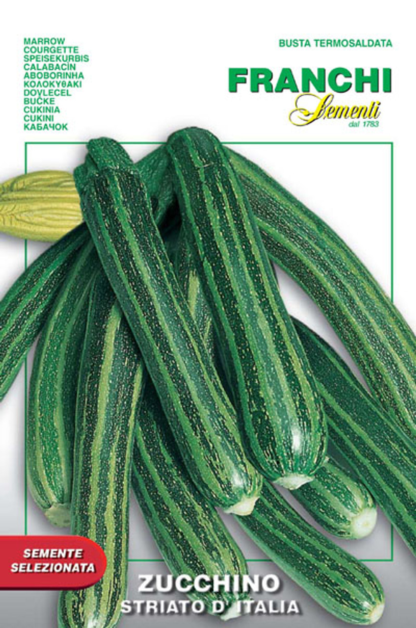 Organic Straito d'Italia Zucchini Summer Squash Seeds — San Diego