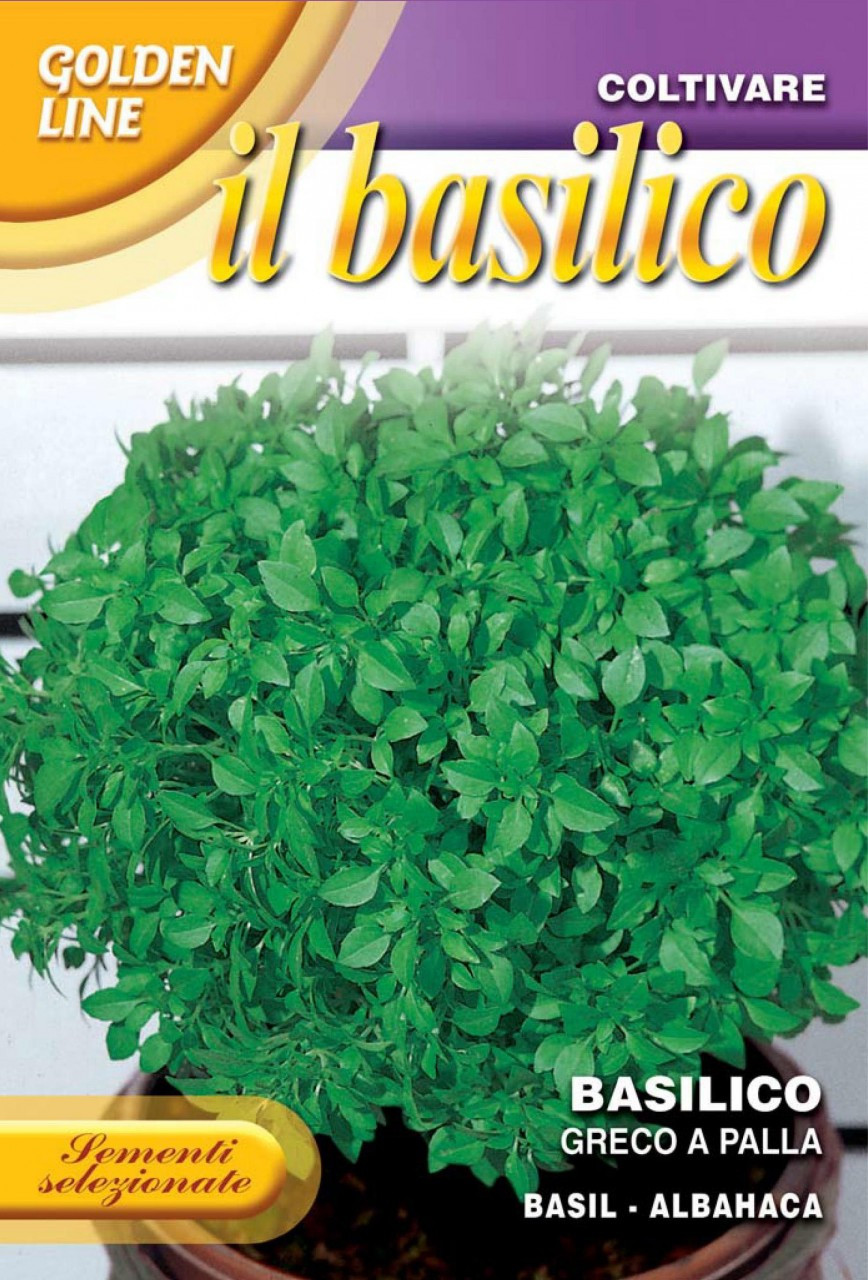 Basil Fine Nano Compatto a Palla 13 1 Seeds from Italy