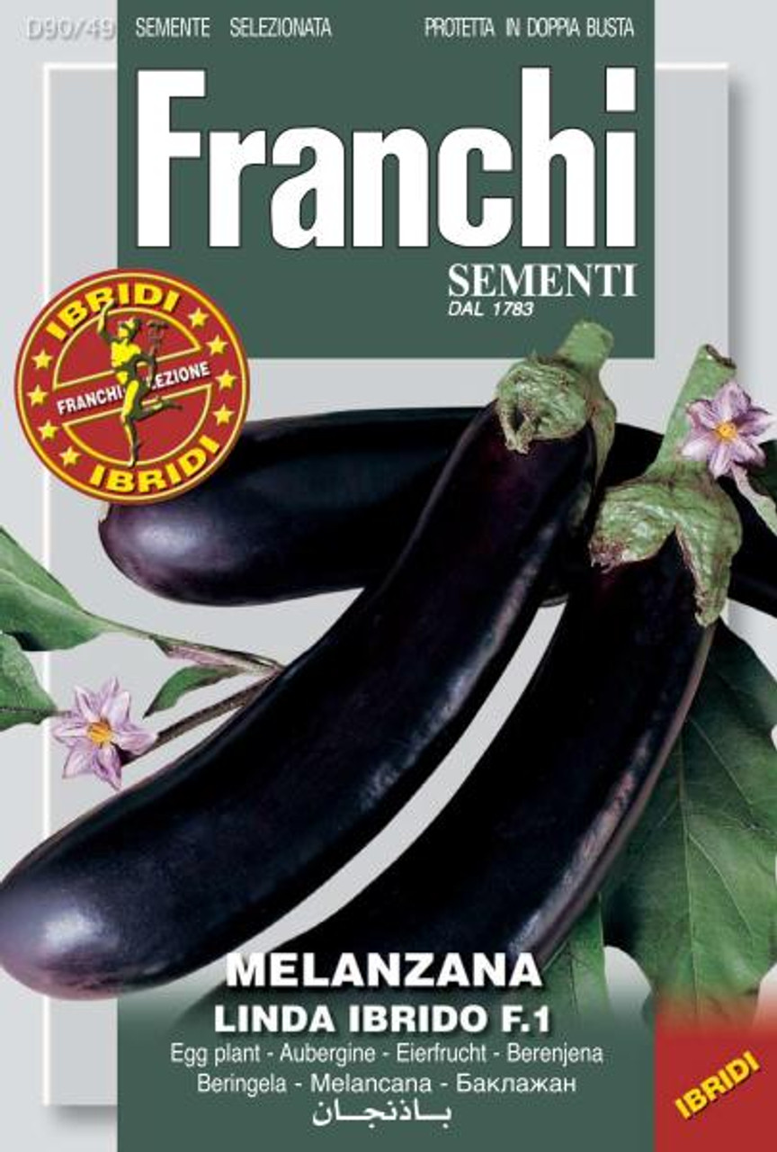 Eggplant Linda/Spany (90-49) - Seeds from Italy