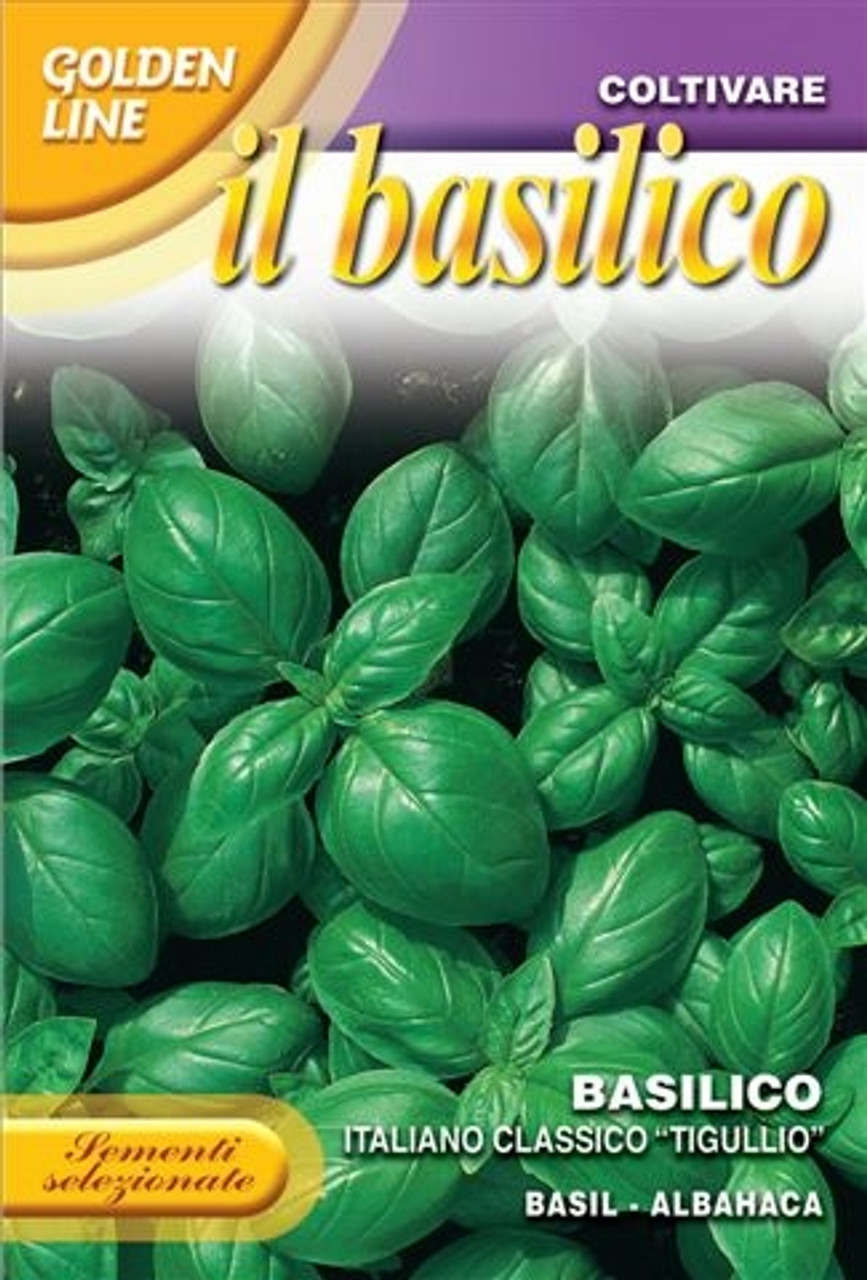 Basil Italiano Classico