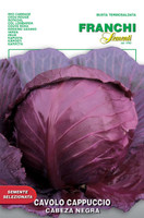 Cabbage - Tête Noire 3 (29-5)