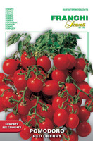 Tomato Red Cherry (106-111)