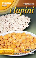 Lupini Beans - Edible Lupine GLLE 87-50