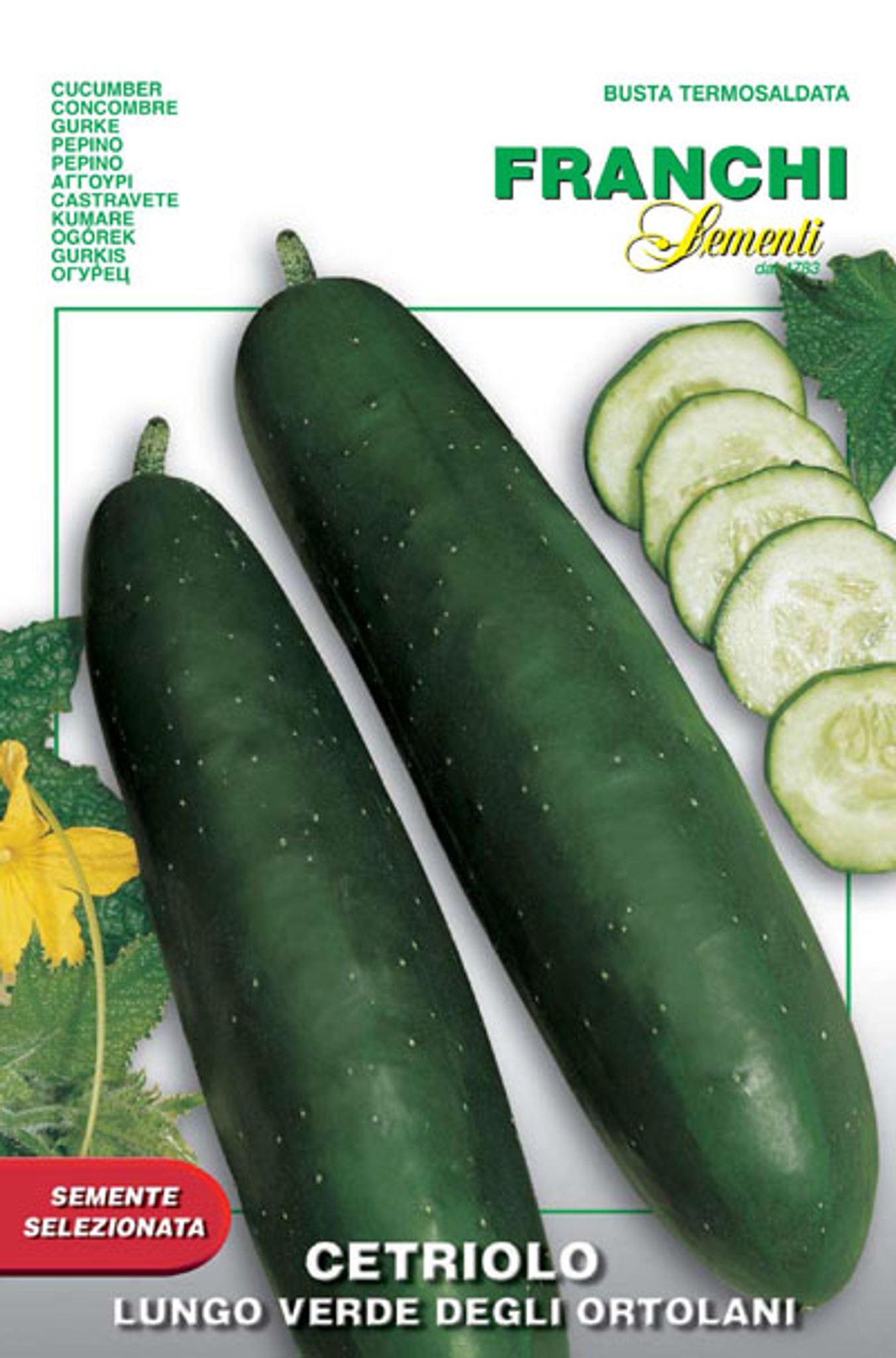 Cucumber (concombre)