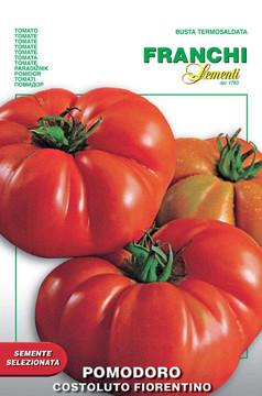 Tomato Costoluto Fiorentino (106-18)
