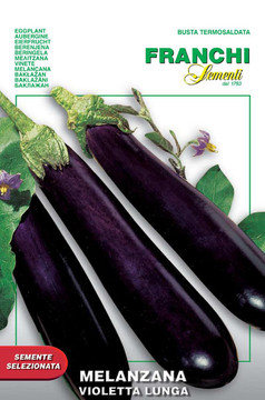 Eggplant Violetta Lunga (90-1)