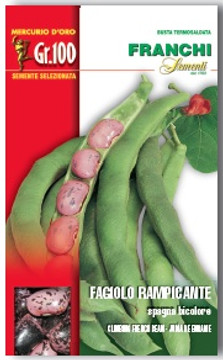 Pole Bean Spagna A Grano Bicolore (55-7)