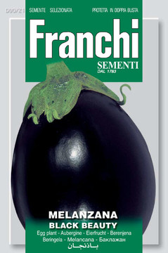 Eggplant Black Beauty Ibrido F1 (90-21)