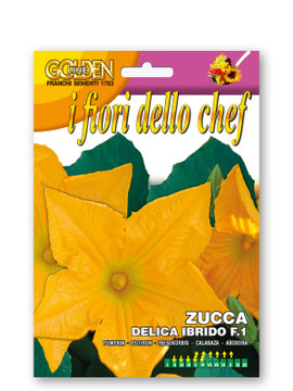Squash Delica Ibrido F1 - Edible Flower (145-14)