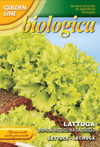 Lettuce Bionda Ricciolina Da Taglio -- Certified Organic (78-1B)