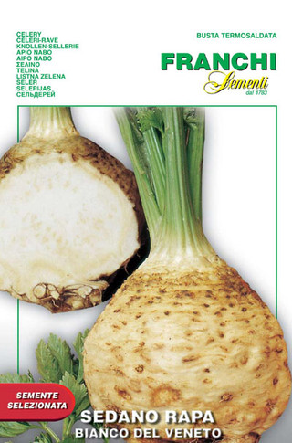 Celeriac Bianco del Veneto (125-4)