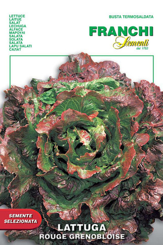 Lettuce Rouge Grenobloise (79-76)
